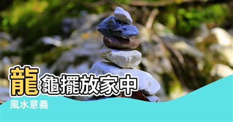 龍龜供養|供養禁忌和注意事項 